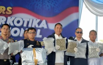 BNN Bongkar Sindikat Narkoba Internasional, 3,37 Ton Cannabis Buds Asal Thailand Masuk Lewat Jalur Impor Resmi