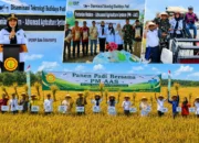 Bangka Selatan Perkuat Swasembada Pangan, Wabup Debby Dorong Pertanian Modern Berbasis Teknologi