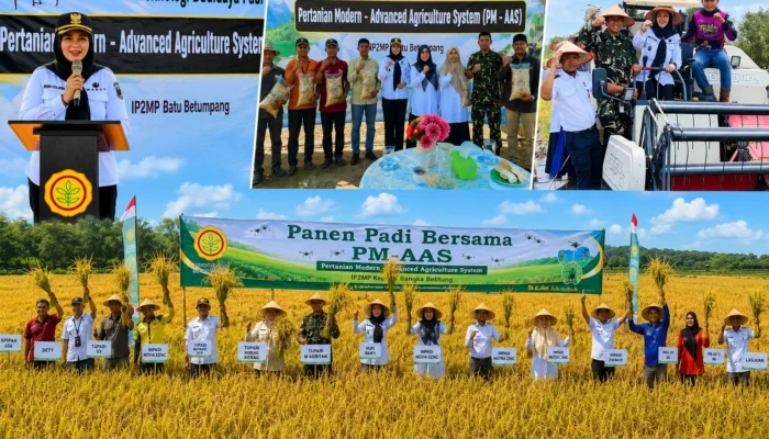 Bangka Selatan Perkuat Swasembada Pangan, Wabup Debby Dorong Pertanian Modern Berbasis Teknologi
