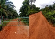 Hutan Lindung Kuruk Lubuk Besar Diduga Jadi Kebun Sawit, Siapa Penguasanya dan Apa Legalitasnya? PP