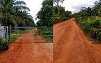 Hutan Lindung Kuruk Lubuk Besar Diduga Jadi Kebun Sawit, Siapa Penguasanya dan Apa Legalitasnya? PP