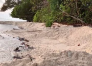 Pengambilan Pasir Pantai Keter Disorot, Konsultan Pengawas Diminta Diperiksa