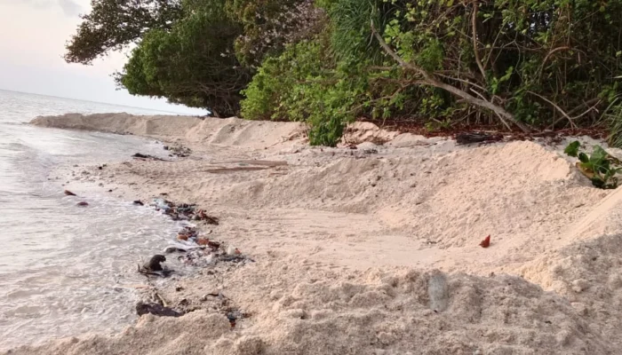 Pengambilan Pasir Pantai Keter Disorot, Konsultan Pengawas Diminta Diperiksa