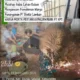 Kebun Warga Tanjung Hara Ludes Terbakar, PT HPS Disorot Soal Kesiapan Alat Pemadam